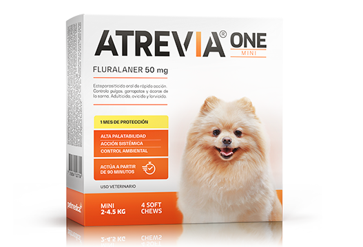 ATREVIA ONE LARGE (2 – 4.5 KG) CJ x 4 UND antiparasitario oral para perros (protección mensual)