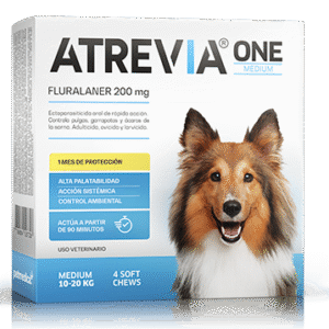 ATREVIA ONE LARGE (10 – 20 KG) CJ x 4 UND antiparasitario oral para perros (protección mensual)