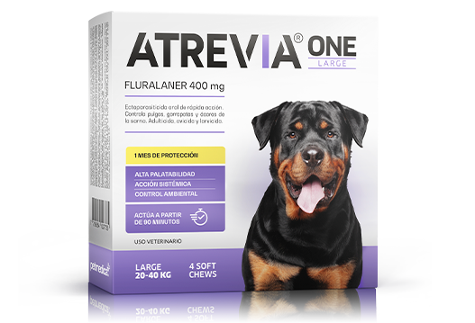 ATREVIA ONE LARGE (20 - 40 KG) CJ x 4 UND antiparasitario oral para perros (protección mensual)