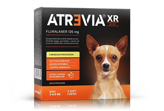 ATREVIA XR LARGE (2 – 4.5 KG) CJ x 4 UND antiparasitario oral acaricida y pulguicida para perros – protección hasta 3 meses (Fluralaner)