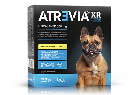 ATREVIA XR LARGE (10 – 20 KG) CJ x 4 UND antiparasitario oral acaricida y pulguicida para perros – protección hasta 3 meses (Fluralaner)