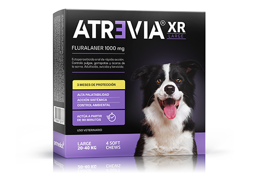 ATREVIA XR LARGE (20 - 40 KG) CJ x 4 UND antiparasitario oral acaricida y pulguicida para perros – protección hasta 3 meses (Fluralaner)