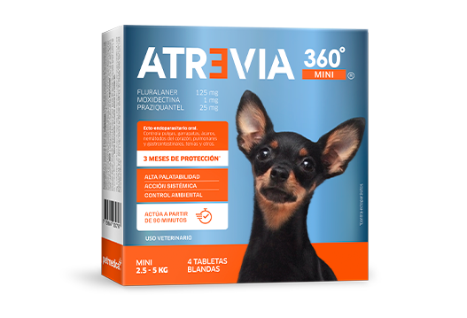 ATREVIA® 360 SMALL (2-4.5 KG) CJ x 4 UND antiparasitario externo e interno para perros