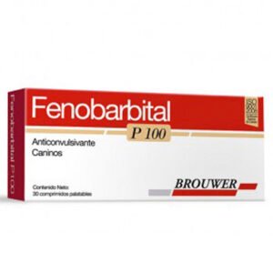 FENOBARBITAL P-G 100 MG x CJ x 30 UND