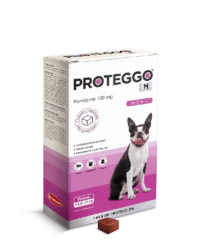PROTEGGO M x 100 MG (4.6 – 10 KG) x UND