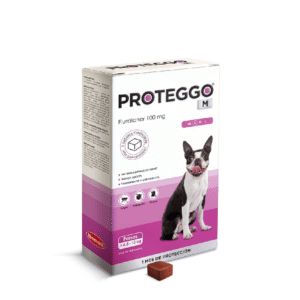 PROTEGGO M x 100 MG (4.6 - 10 KG) x UND