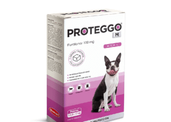 PROTEGGO M x 100 MG (4.6 – 10 KG) x UND