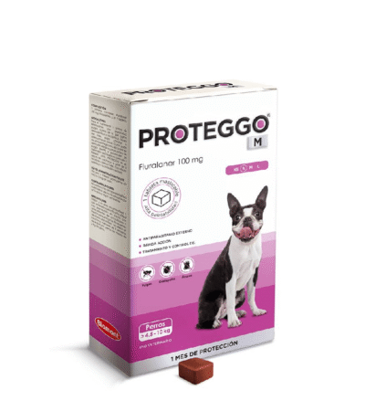 PROTEGGO M x 100 MG (4.6 – 10 KG) x UND