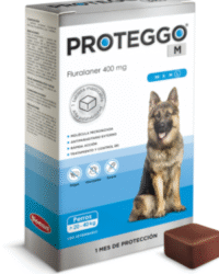 PROTEGGO M x 400 MG (20.1 – 40 KG) x UND