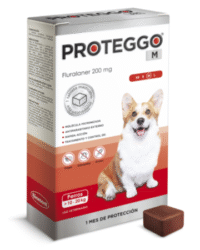 PROTEGGO M x 200 MG (10.1 – 20 KG) x UND