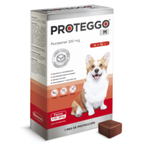 PROTEGGO M x 200 MG (10.1 - 20 KG) x UND