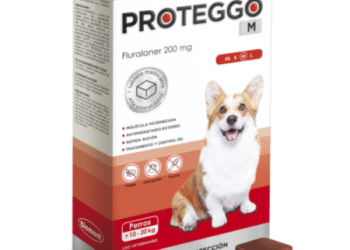 PROTEGGO M x 200 MG (10.1 – 20 KG) x UND