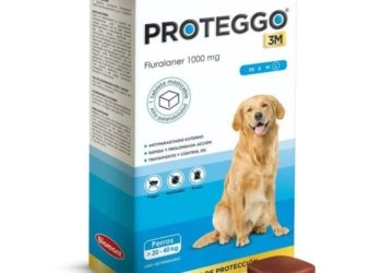 PROTEGGO 3M x 1000 MG (20.1 – 40 KG) x UND