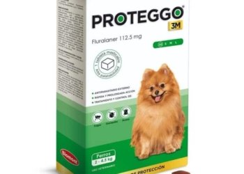 PROTEGGO 3M x 112.5 MG (2 – 4.5 KG) x UND