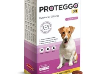 PROTEGGO 3M x 250 MG (4.6 – 10 KG) x UND