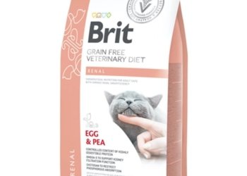 BRIT GF VET DIETS CAT RENAL x 2 KG