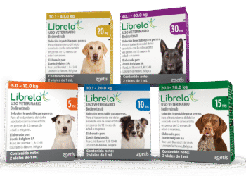 Librela inyección veterinaria para osteoartritis en perros – Zoetis (caja por x viales)