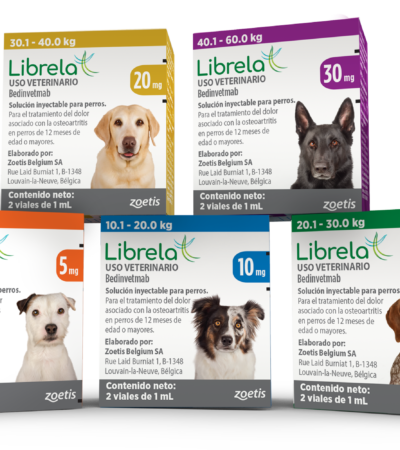 Librela inyección veterinaria para osteoartritis en perros – Zoetis (caja por x viales)