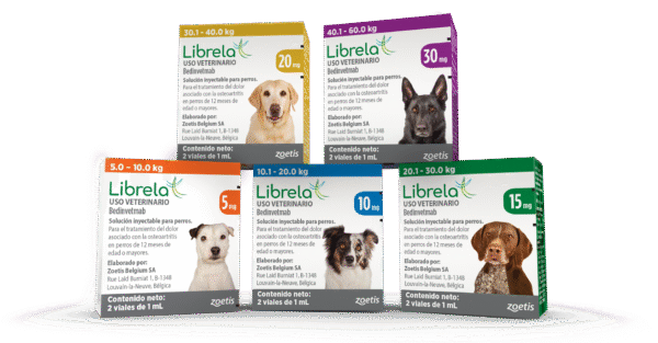 Librela inyección veterinaria para osteoartritis en perros – Zoetis (caja por x viales)