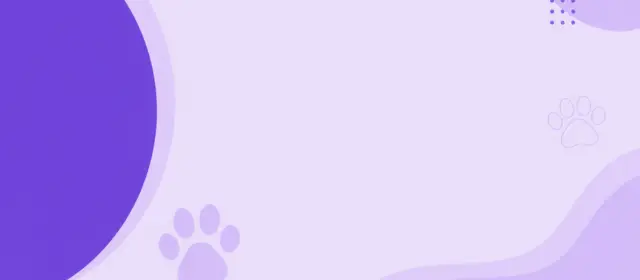 Fondo gatos